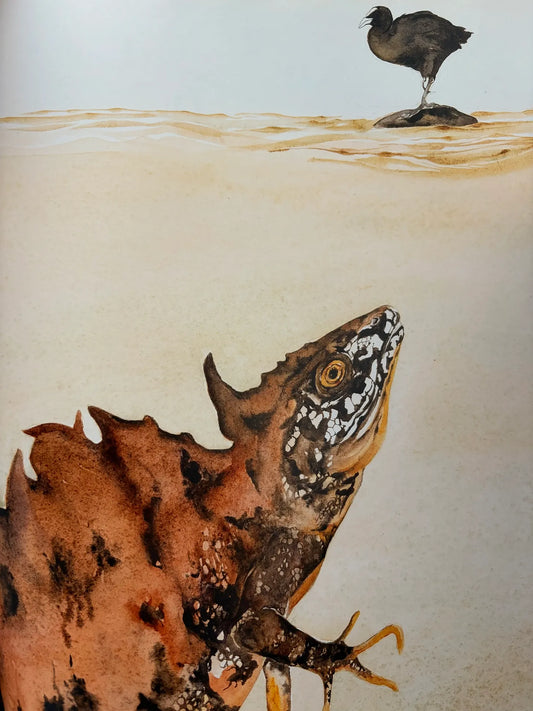 The Newt